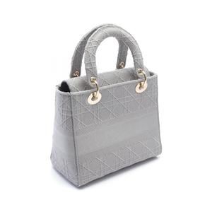 Dior Handbag D-Lite Medium Gray Lady